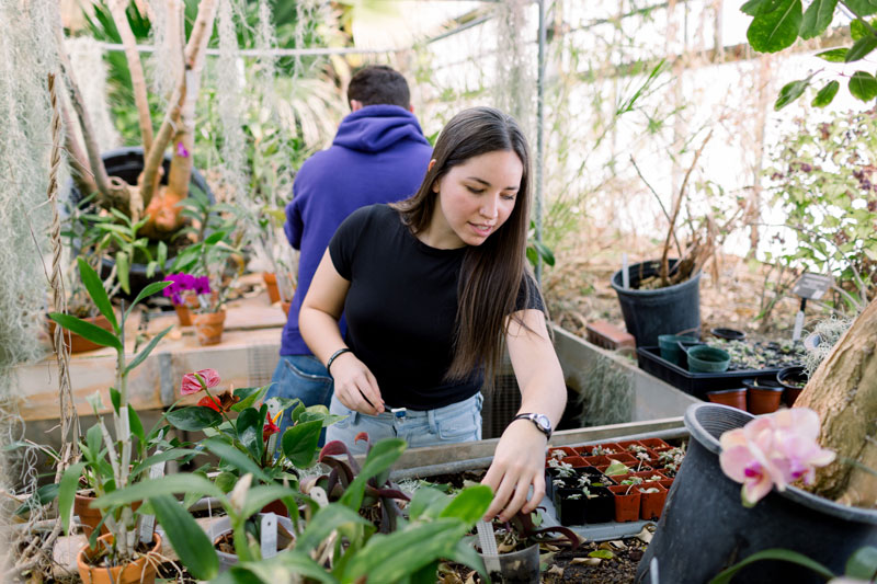Two students tending to plants in the Nussbaum Greenhouse