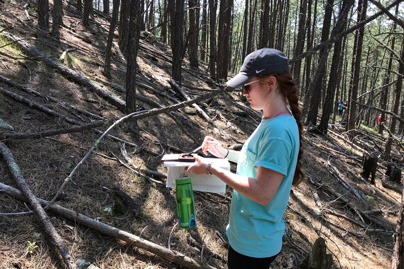 Student reading a compass in the woods