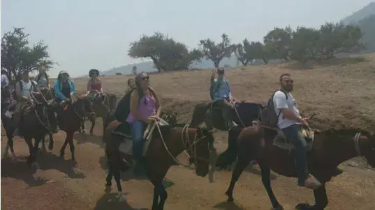 Taylor students riding horses on a desert path