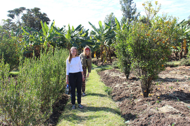 Students in a field on a intercultural trip