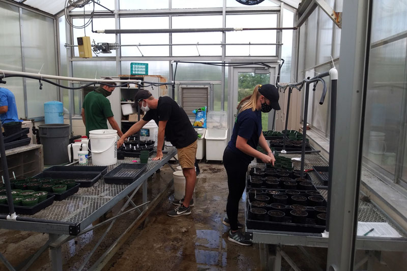 Students working in the Randall Greenhouse