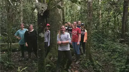 Taylor students gathered around an old tree in South America