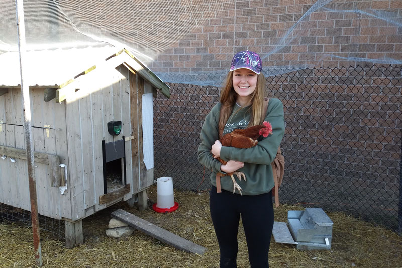 Sustainable Development major holding a chicken next to a brick wall