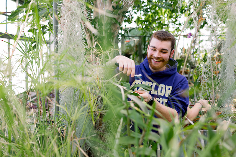 student tending to plants in the greenhouse
