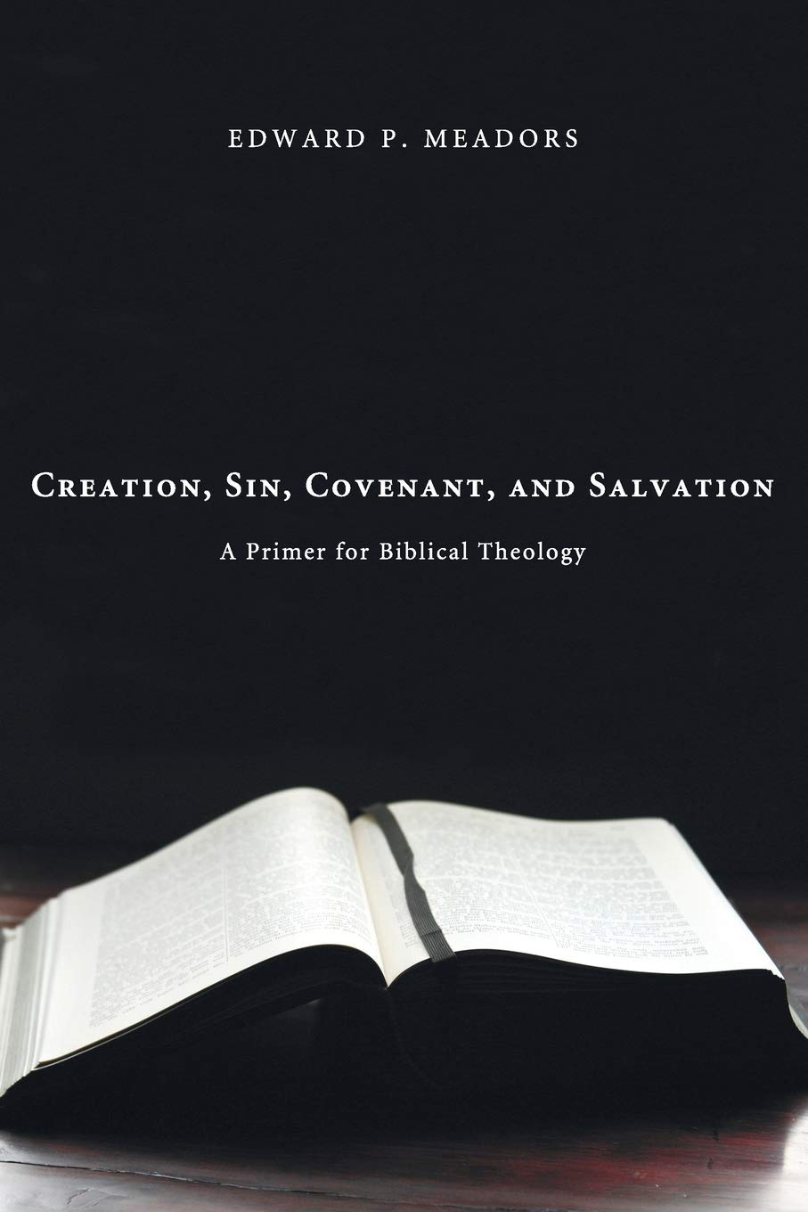 Creation, Sin, Covenant, and Salvation: A Primer for Biblical Theology
