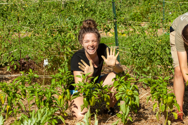 student working in the organic garden