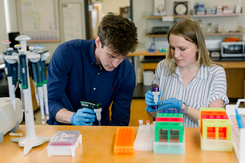 Two biochemistry students filling small containers with chemicals