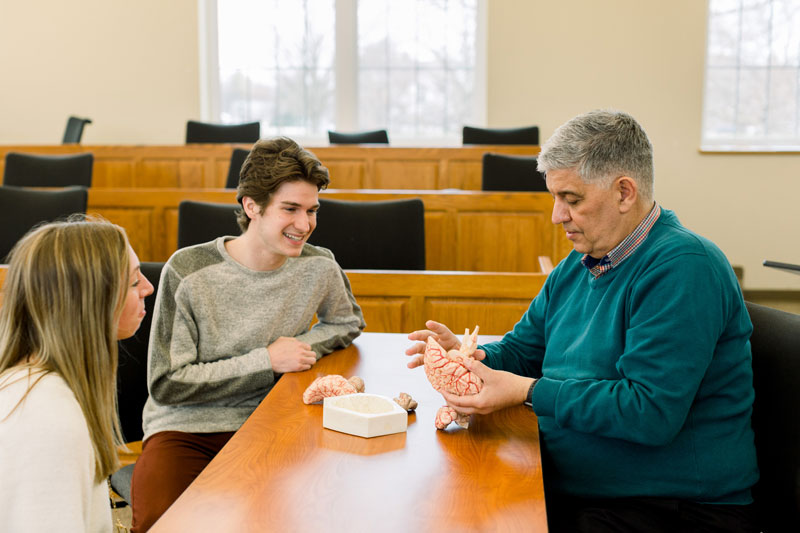 Professor holding a model of a brain wand talking to two students