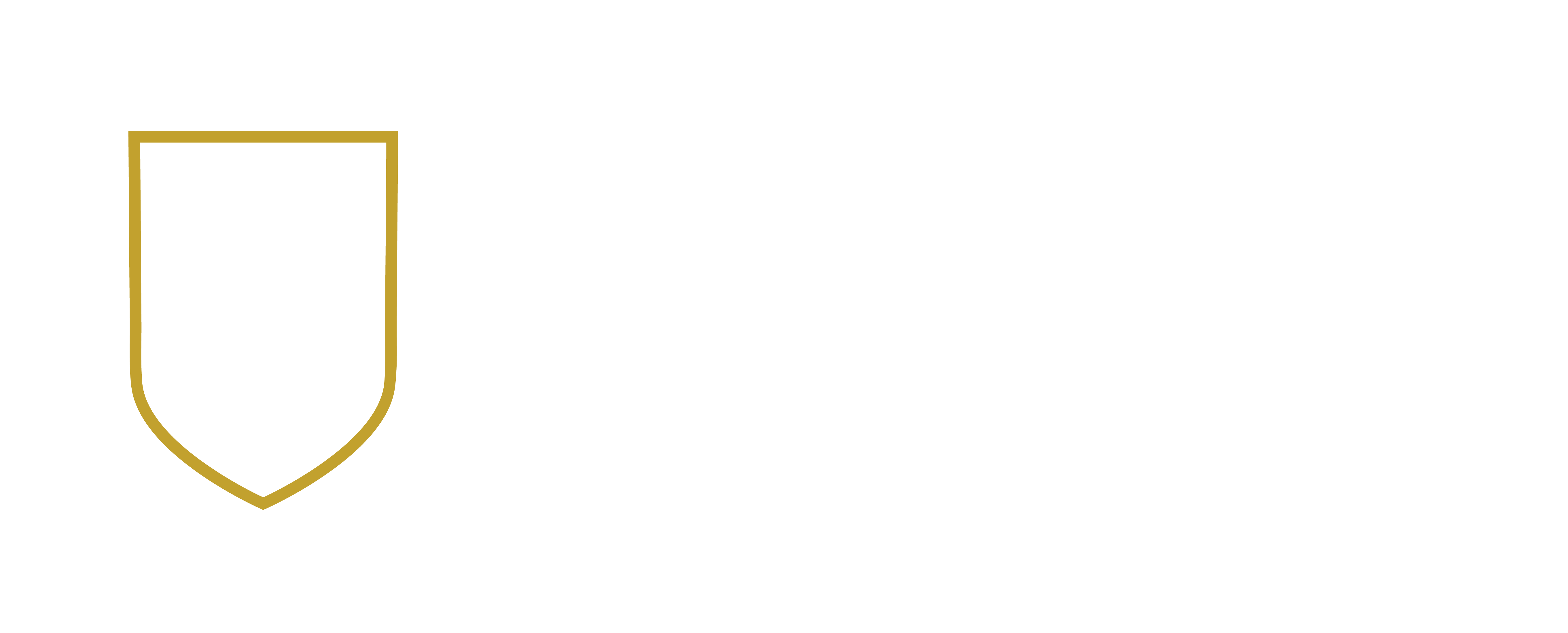 Taylor University Official Logo