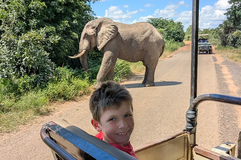 Grabowski son on safari with elephant