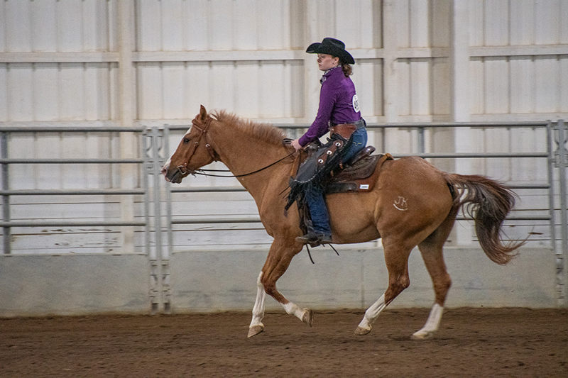 Equestrian wearing a cowboy hat rides a chestnut horse at a trot inside an indoor riding arena.