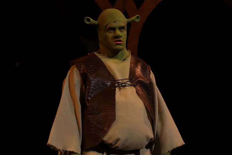 Shrek in costume